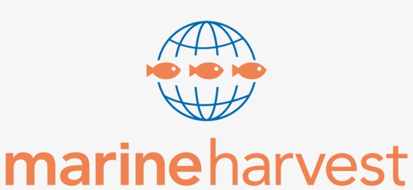 Marine Harvest logo, MSC partner