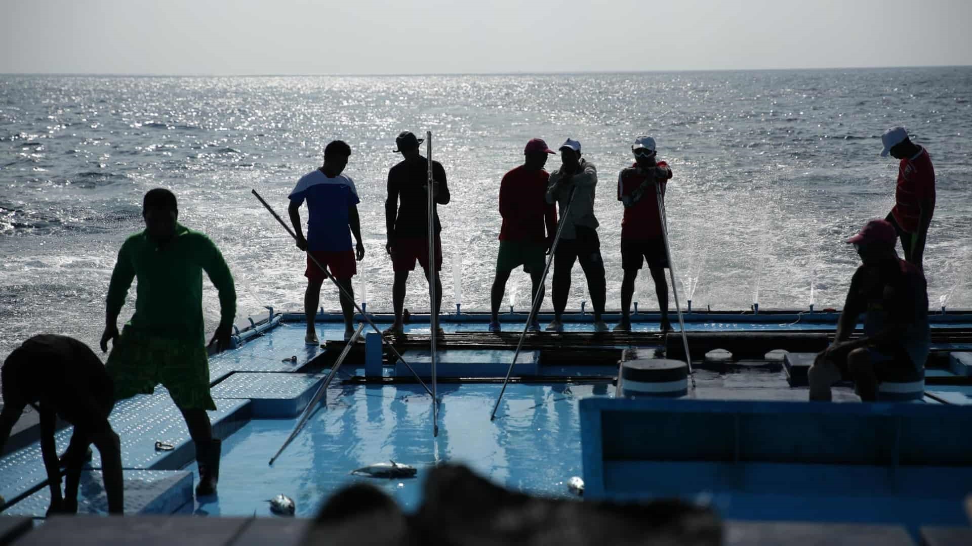 Pole&Line tonijnvisserij op boot (1920x1080)