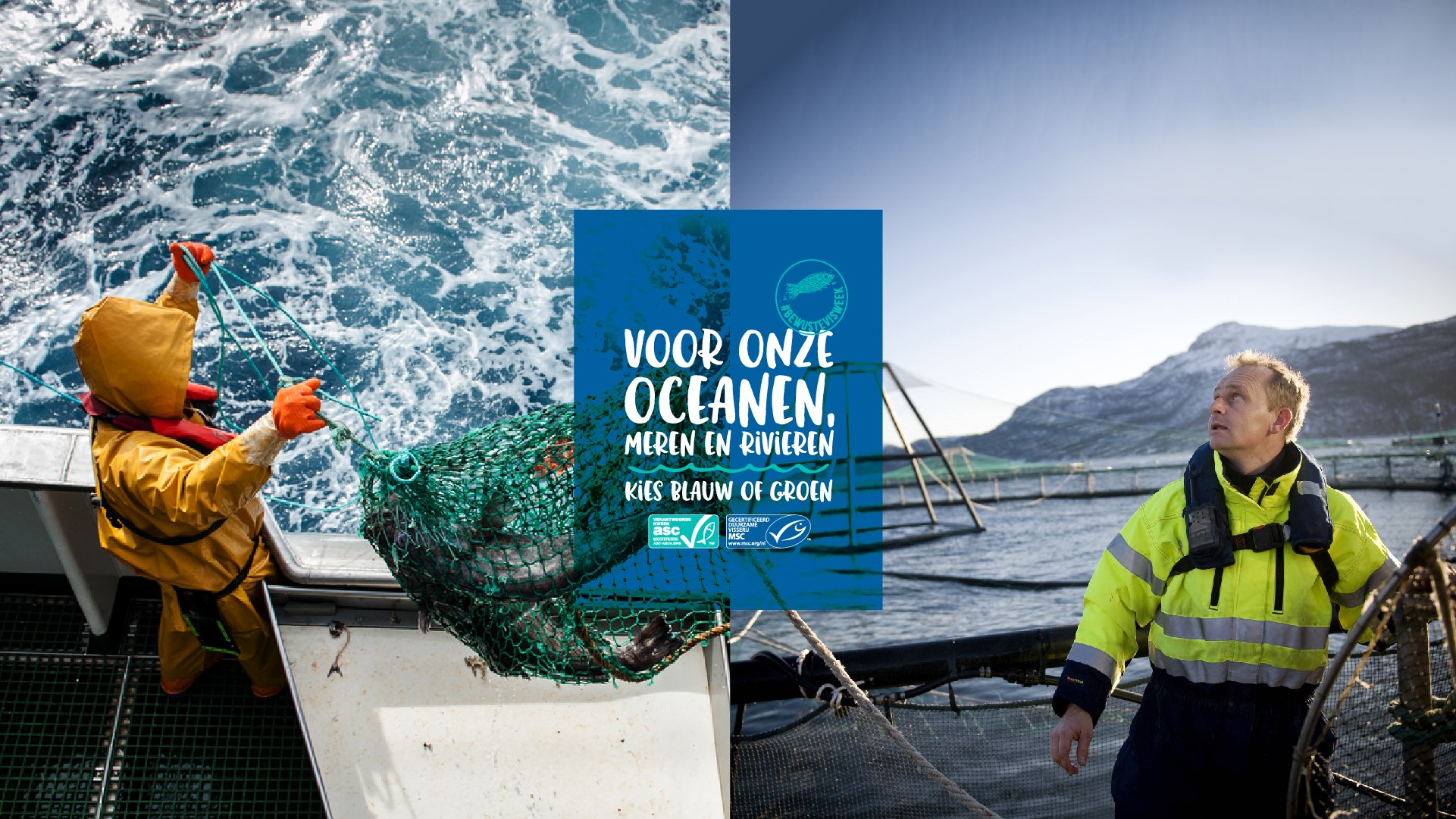 Recepten met MSC vis in de Bewuste Visweek | Marine Stewardship Council