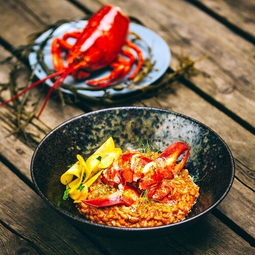 Kreeft Saffraan Risotto