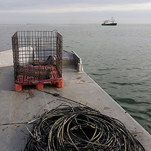 Oyster cage on boat