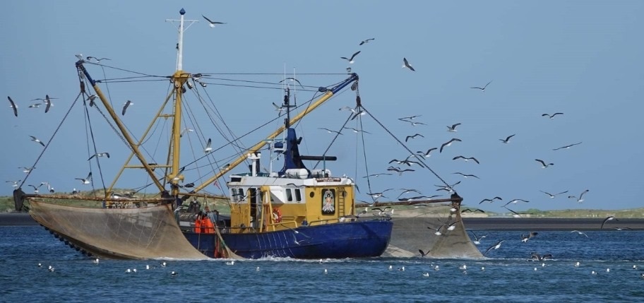 garnalenboot van Liesbeth de Haan
