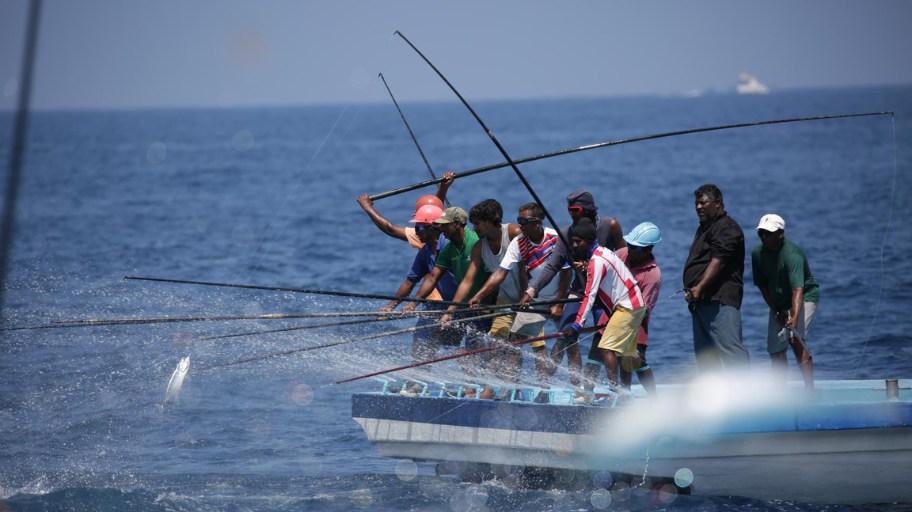 MSC-gecertificeerde visserijen op tonijnboot