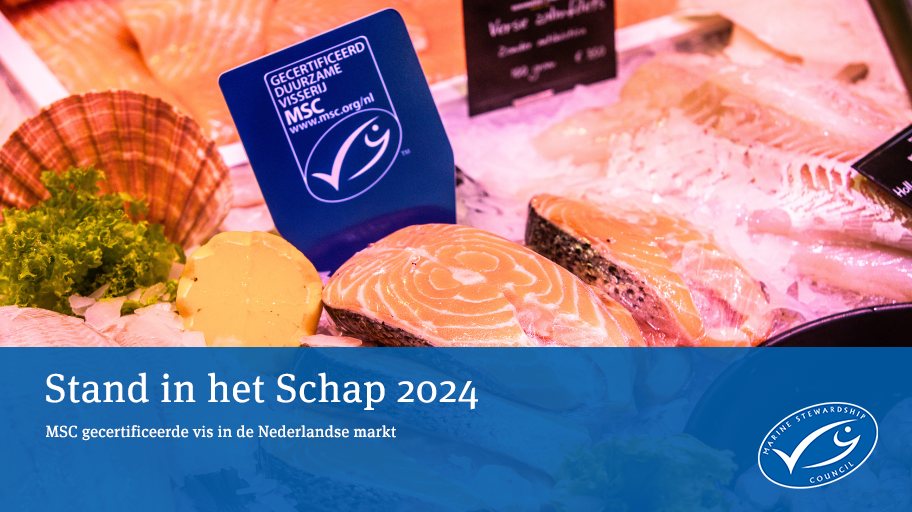 cover van het MSC Stand in het Schap rapport van Nederland