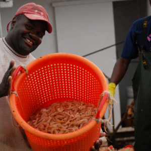Suriname: de kracht van samenwerking