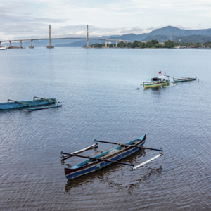 Een beter voedselsysteem met duurzaam vissen