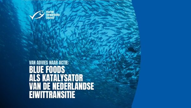 Blue Foods als Katalysator in de Nederlandse Eiwittransitie