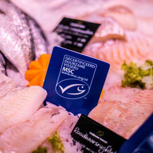 Certificatieproces visketen