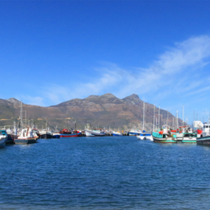 Fishery improvement tools