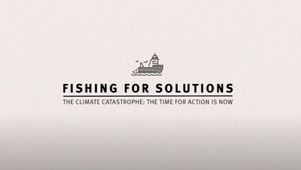 Vissen naar oplossingen