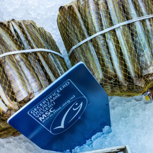 Een geloofwaardig keurmerk