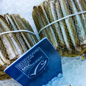 Gebruik het MSC keurmerk