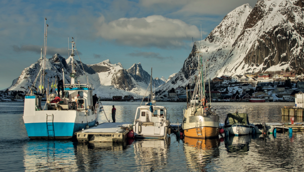 Global Impacts Report