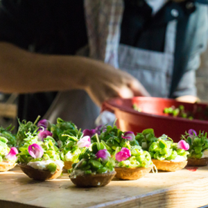 Jij bent een wilde held