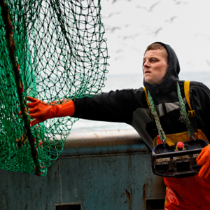 Onze missie om een markt te creëren voor duurzame visserij