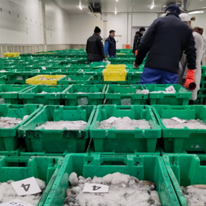 MSC keurmerk licentie aanvragen