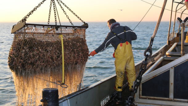 Fragen & Antworten: Überfischung