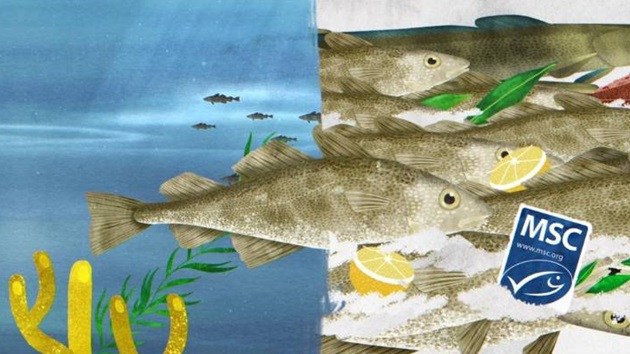 Quelle est l'origine du poisson durable ?