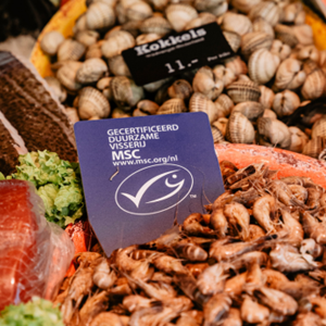 Waar koop je MSC-visproducten?