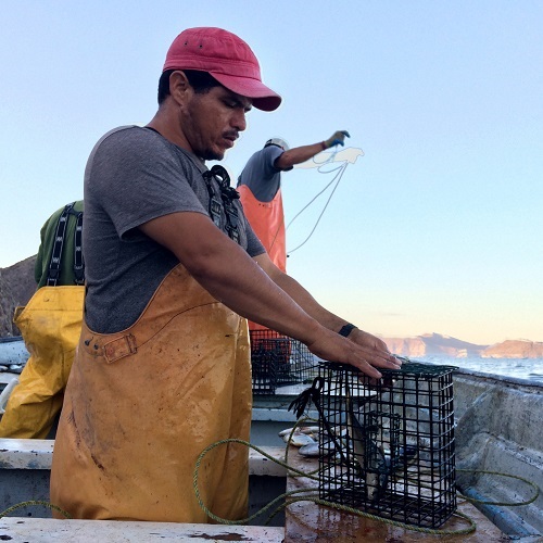 Fish for Good - Mexico