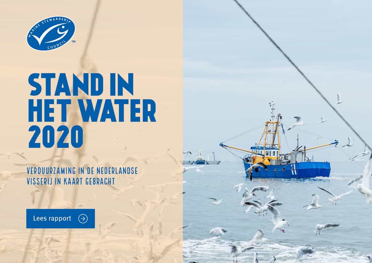 Cover Stand in het Water Cover rapport Stand in het Water
