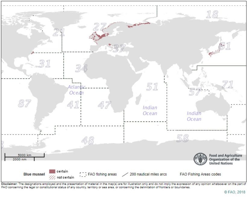 Vangstgebied van mosselen soorten, grafiek van FAO, VN