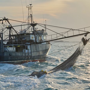 Fishery innovations that drive ocean biodiversity research