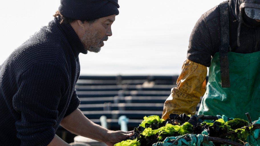 YouTube Thumbnail - 912x513