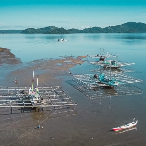 Fish for Good, het project