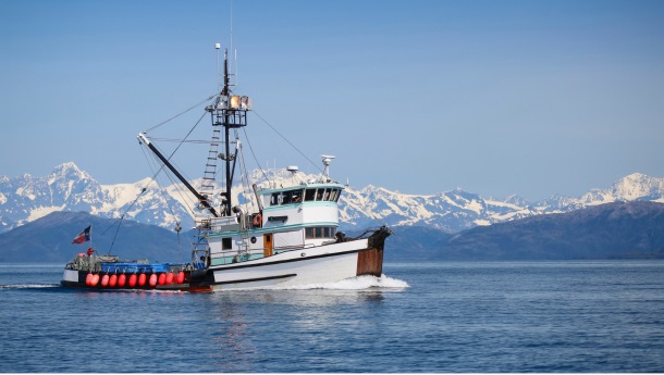De MSC-Standaarden Voor Duurzame Visserij