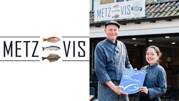 Metz Vis