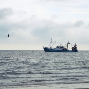 Visserij en klimaatverandering