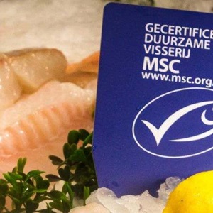 Vraag om het duurzame MSC viskeurmerk
