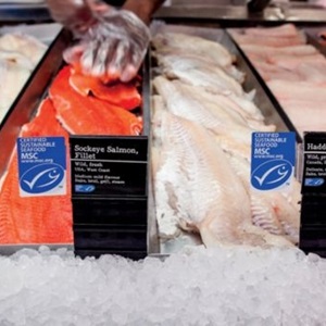 Waar staat het MSC keurmerk voor?