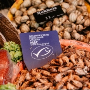 Où acheter des produits MSC ?