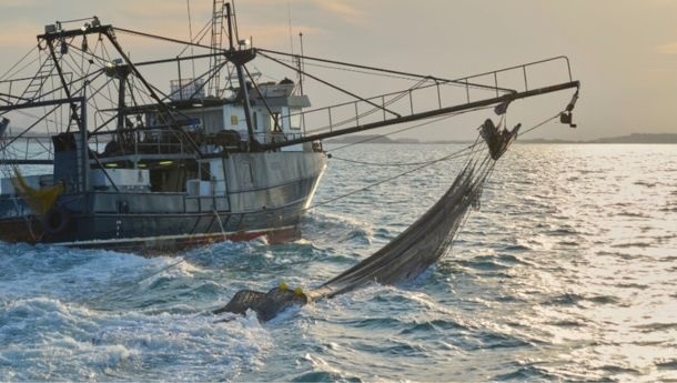 Wat is overbevissing?