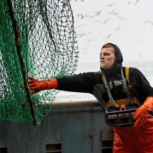 La nostra strategia per la pesca sostenibile