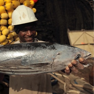 Fragen & Antworten: FAQ-Übersicht