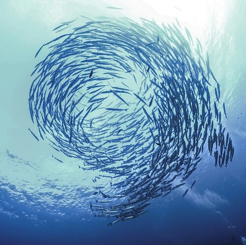 Wat na certificatie?