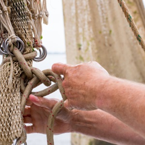 Certificeringsgids voor Visserijen