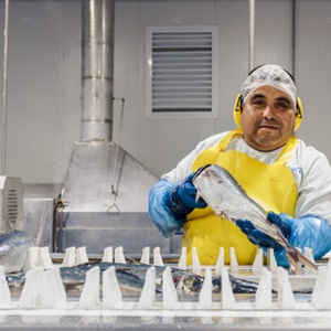 Visserij levensonderhoud voor velen