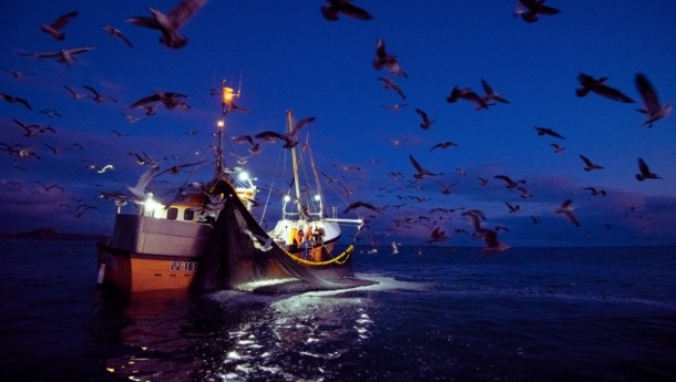 Wat is duurzaam vissen?