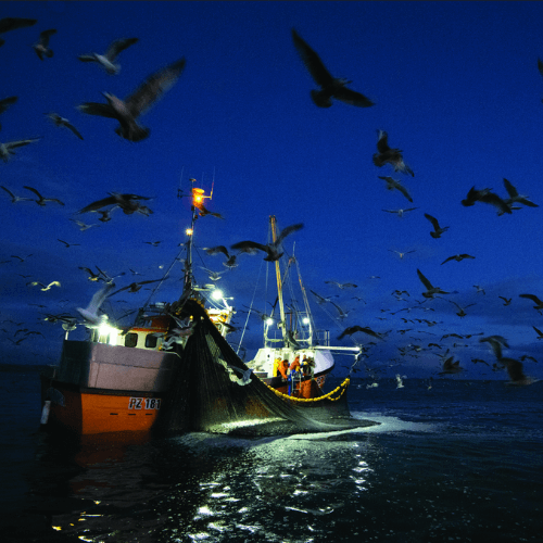 Wat is duurzaam vissen?
