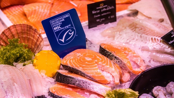Wat Voor Organisatie Is MSC Marine Stewardship Council Wat Voor Organisatie Is MSC Marine Stewardship Council