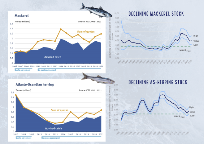 Declining stocks Herring Mackerell