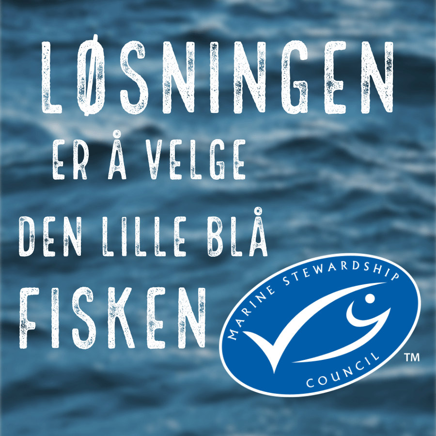 Løsningen er å velge den lille blå fisken