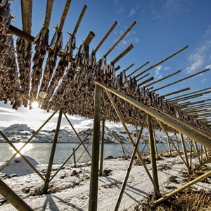 Norway State of the Water Report 2026