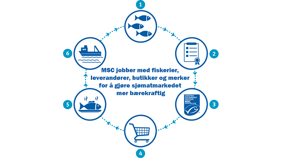 NO_theory of change_PNG