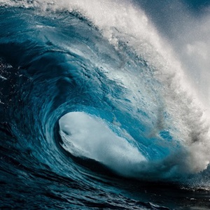 Oceans at Risk - Ocean Sustainability & Overfishing