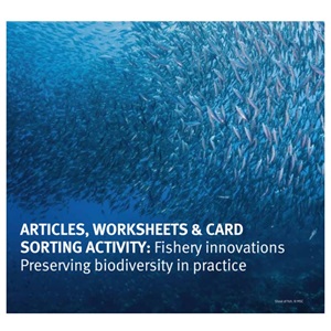 Articles, Worksheets & Sorting Card Game